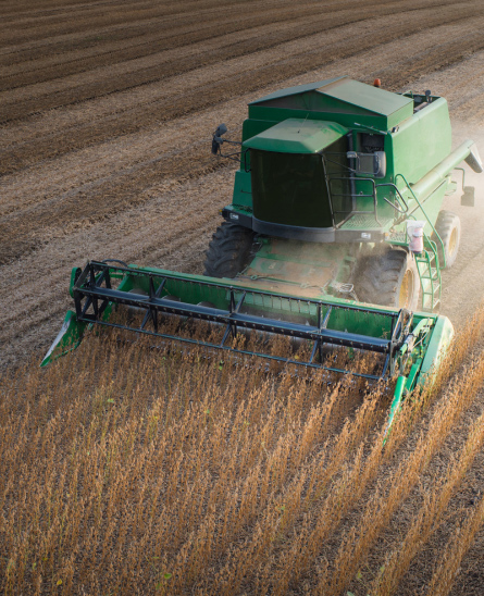 different-section-img